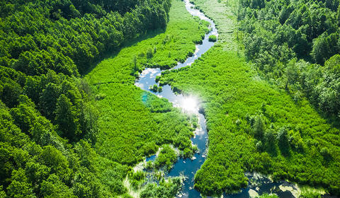 カバー画像（環境）
