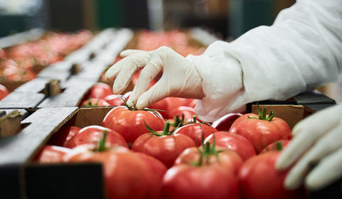 カバー画像（CER-FSSC_MAG260407）