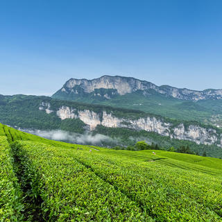 カバー画像（CER-GSTC_MAG260407）