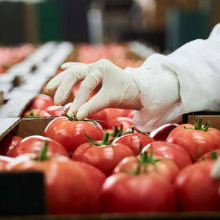 カバー画像（CER-FSSC_MAG260407）