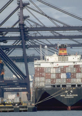 GOVERNMENT INSPECTION SERVICES (GIS) 政府指定検査