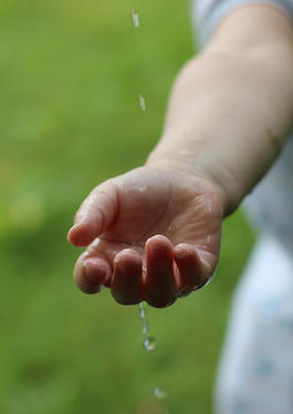 企業の責任と持続可能性