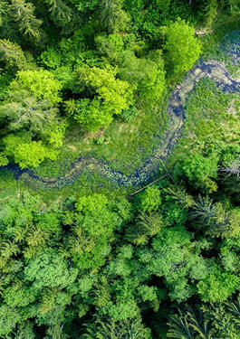 Shaping a Better World