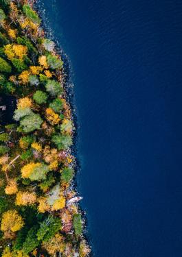 Bureau Veritas Group