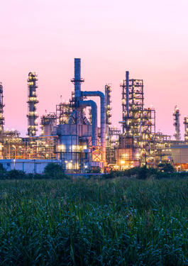 Asset Integrity Management