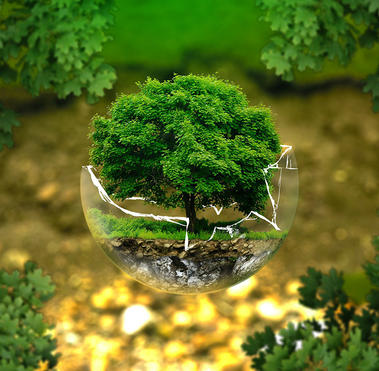 ISO14001（環境）