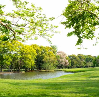 カバー画像（公園）